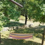 Селски туризъм в област Търговище | Къща Иванча