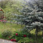 Почивка сред природата в Дреново | Вила Мегас