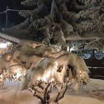 Вълшебството на Родопите във Вила Омая