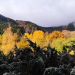Вълшебството на Родопите във Вила Омая