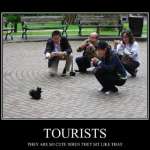 zabavni-snimki-turisti-11